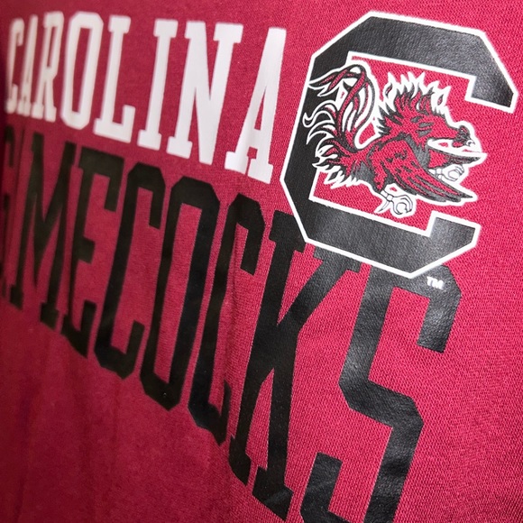 🐔🏟️ University of South Carolina Gamecocks Marquee Stadium Hoodie 🏟️🐓 - Picture 7 of 12